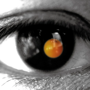 香港三级黄片电影人与狗交配
